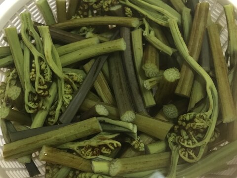 苦い!失敗したワラビのアク抜きリベンジ方法